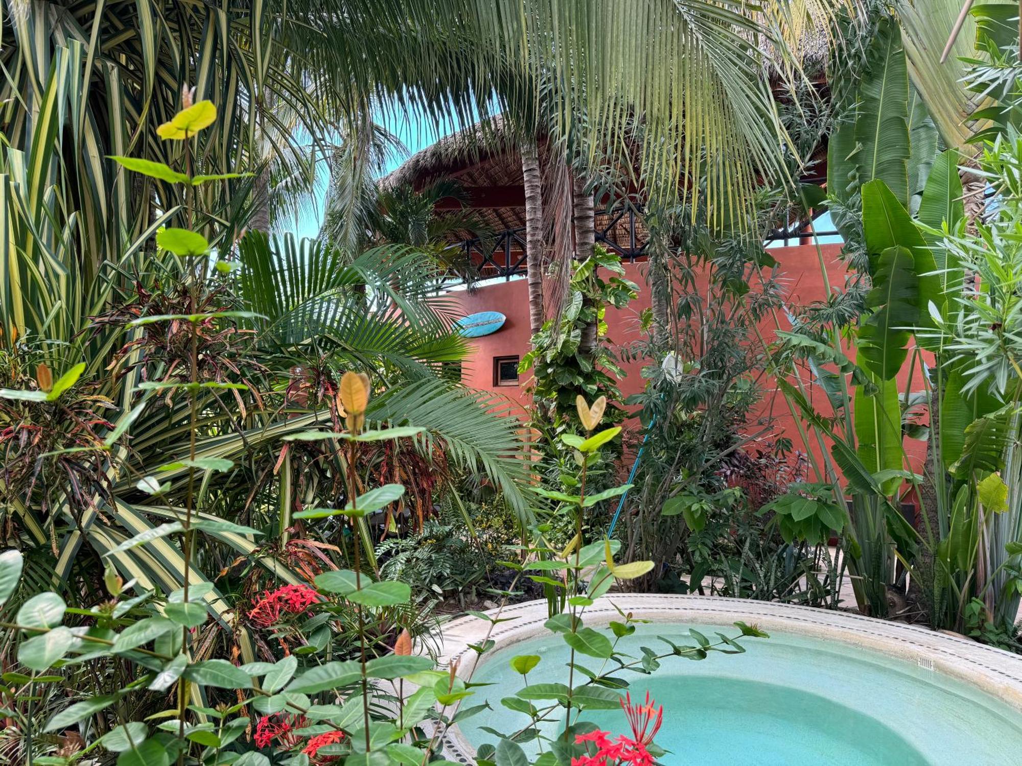 One Love Hostal Puerto Escondido Puerto Escondido  Ngoại thất bức ảnh