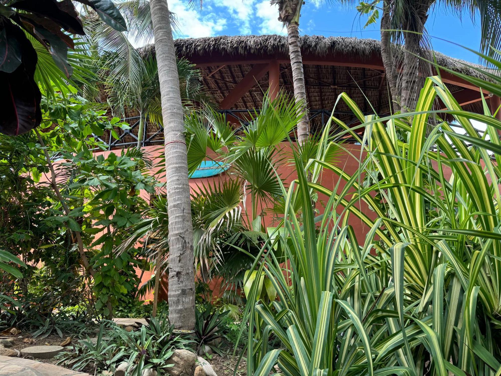 One Love Hostal Puerto Escondido Puerto Escondido  Ngoại thất bức ảnh