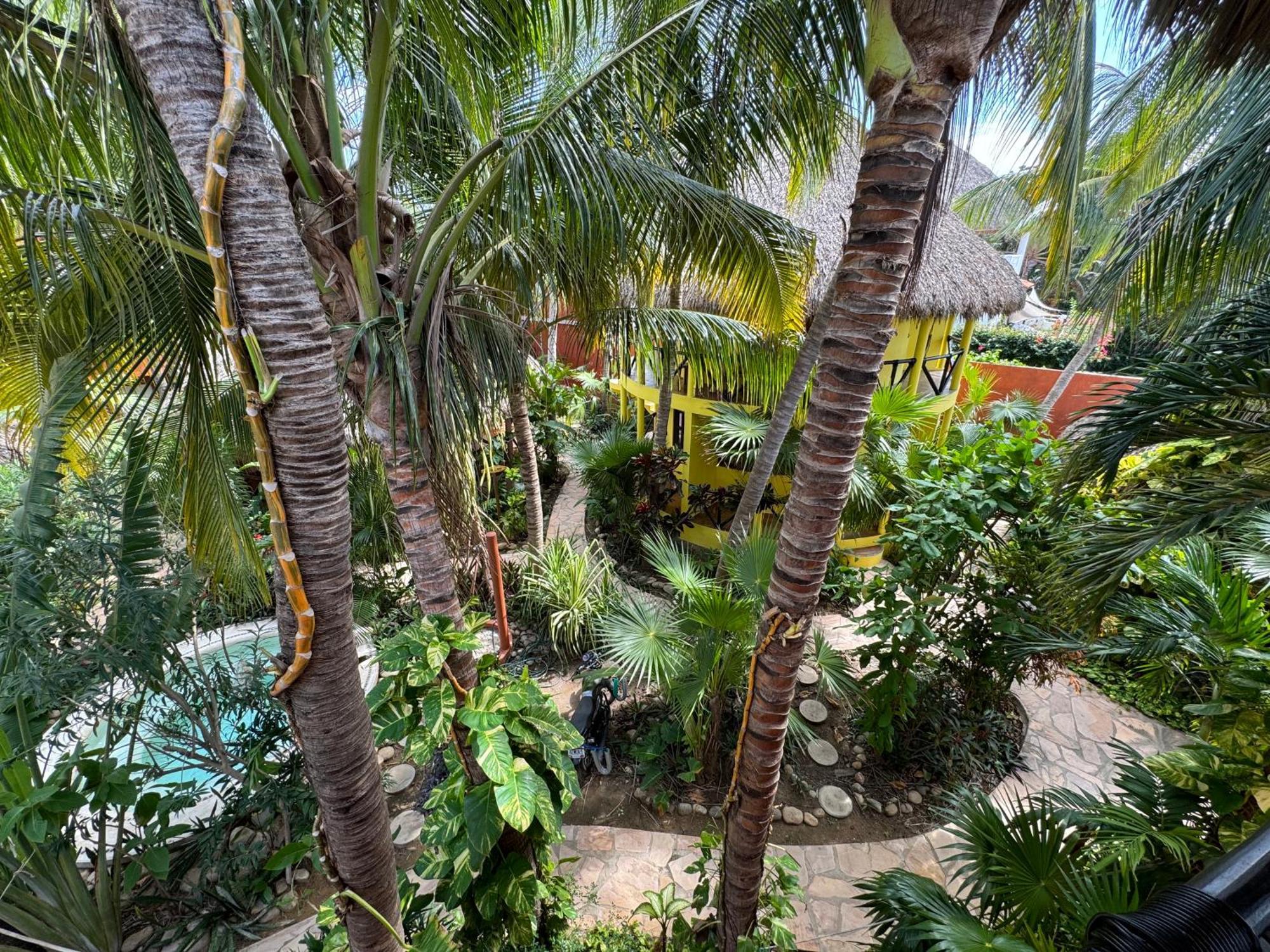 One Love Hostal Puerto Escondido Puerto Escondido  Ngoại thất bức ảnh