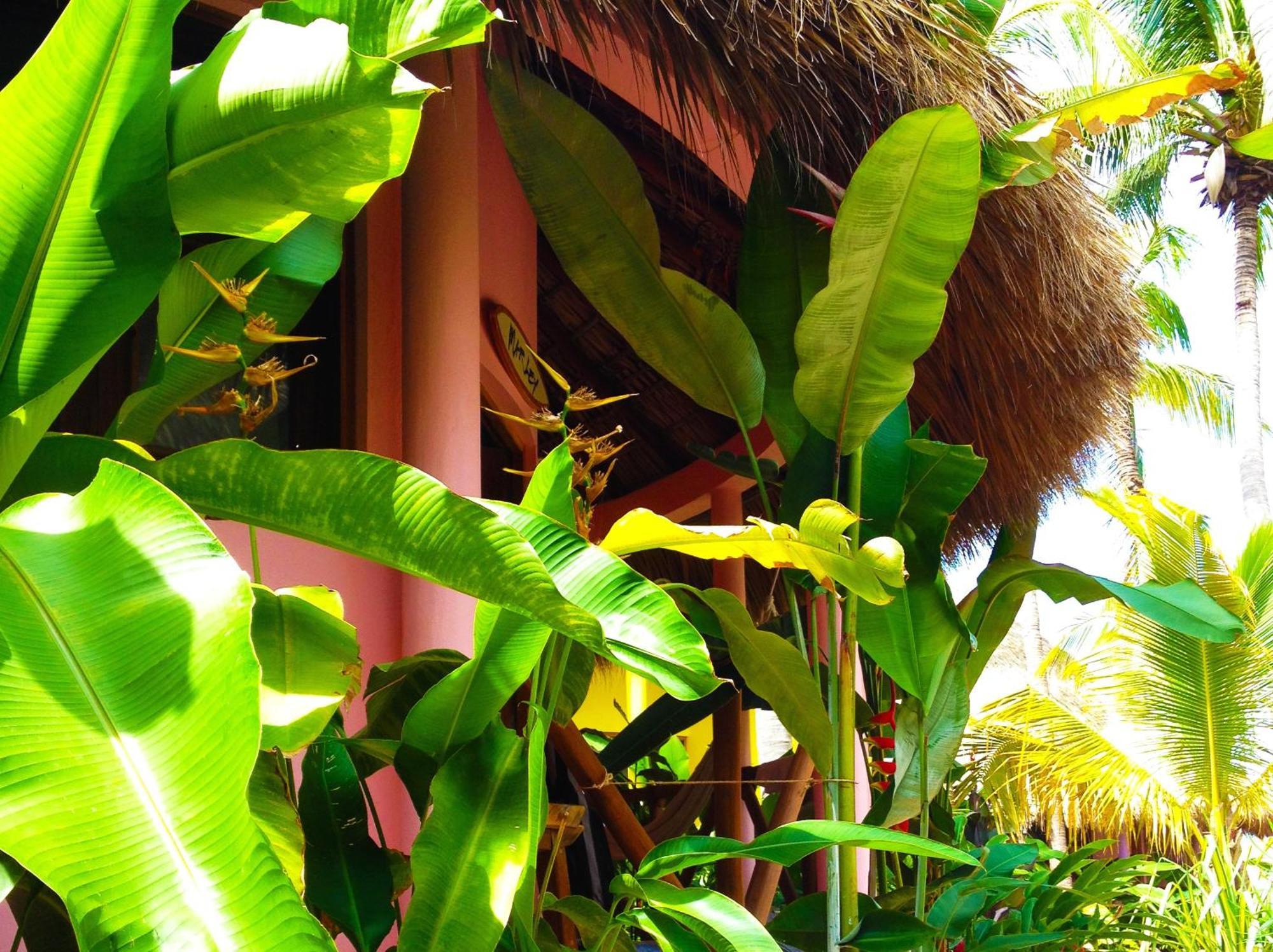 One Love Hostal Puerto Escondido Puerto Escondido  Ngoại thất bức ảnh