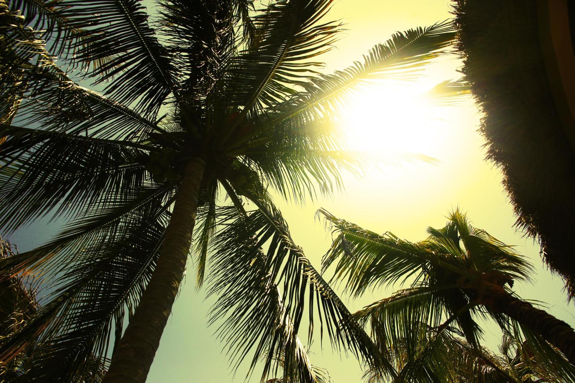 One Love Hostal Puerto Escondido Puerto Escondido  Ngoại thất bức ảnh